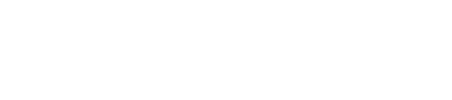 Gradski žurnal